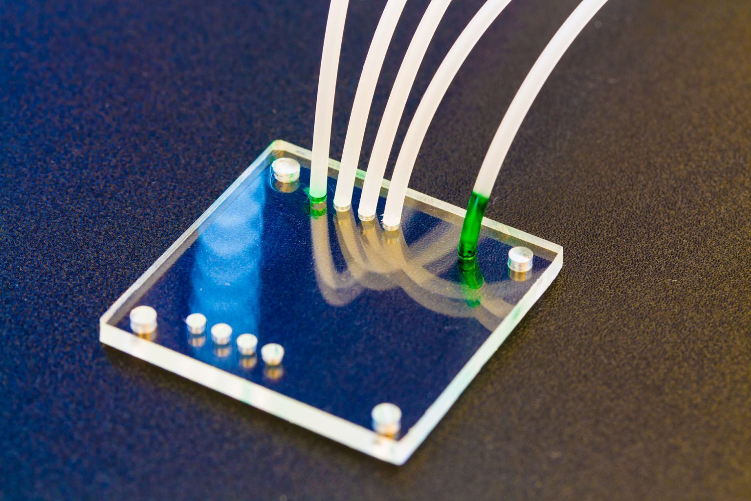 lab on chip is device integrates several laboratory processes in one device